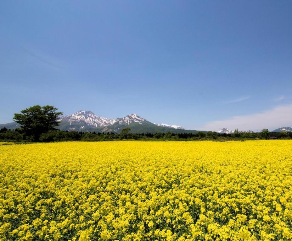 Akakura Park Hotel Myoko Exteriér fotografie